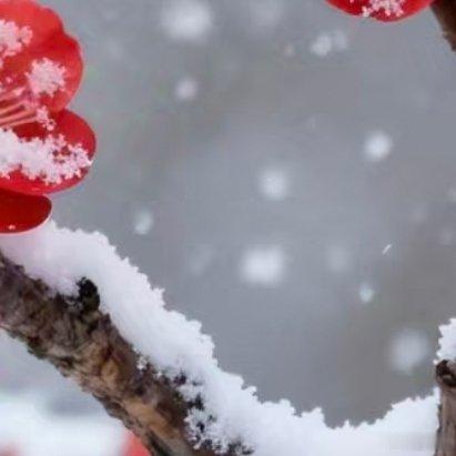 0000墨雨纪 树莓种植：1. 选地整地树莓对土壤的要求并不严格，除了重碱性和低