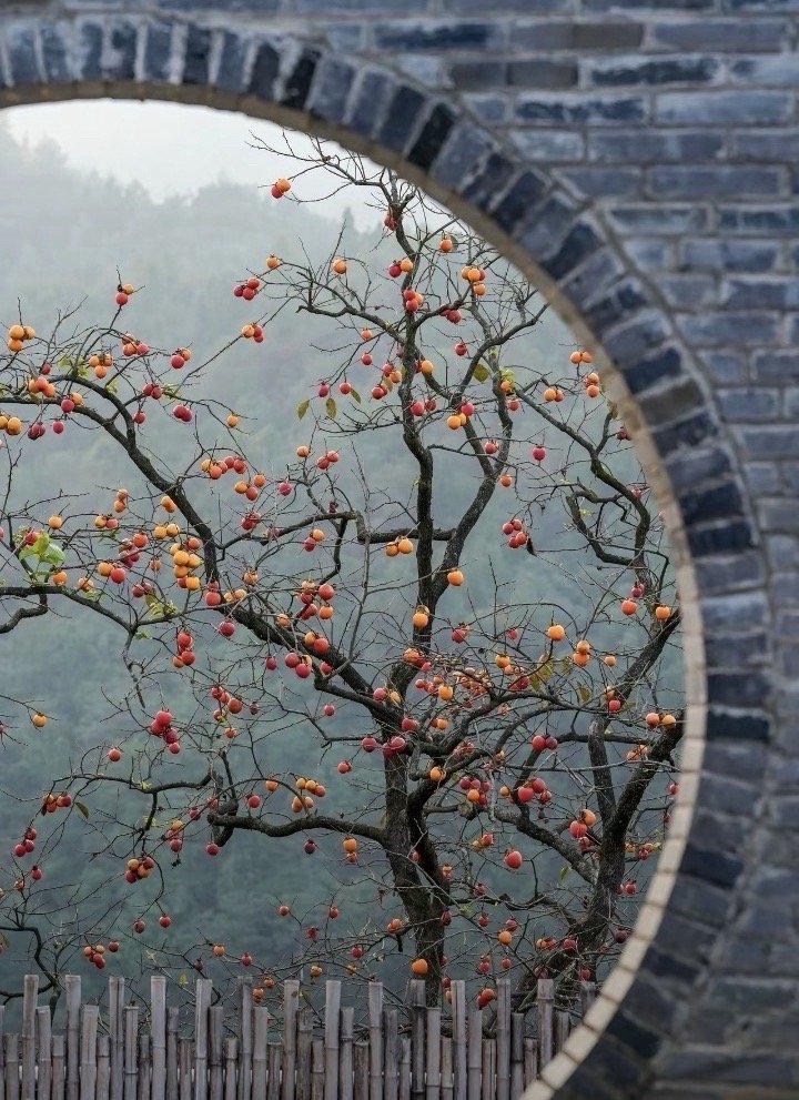 纳指场外不要动啊，跌不到几个点进出太费劲了。 ​​​