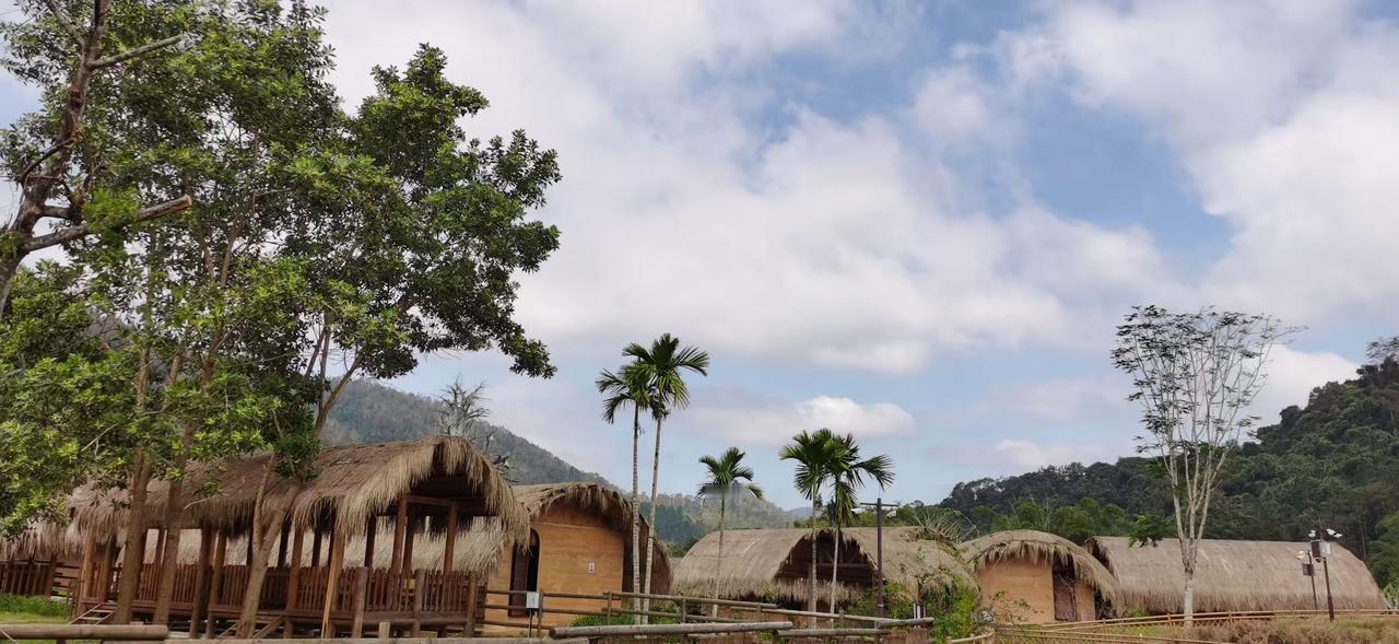 草顶裹着山风，木栏倚着云影，棕榈叶把天剪得松松软软。连屋子都长在绿意里，推门是山