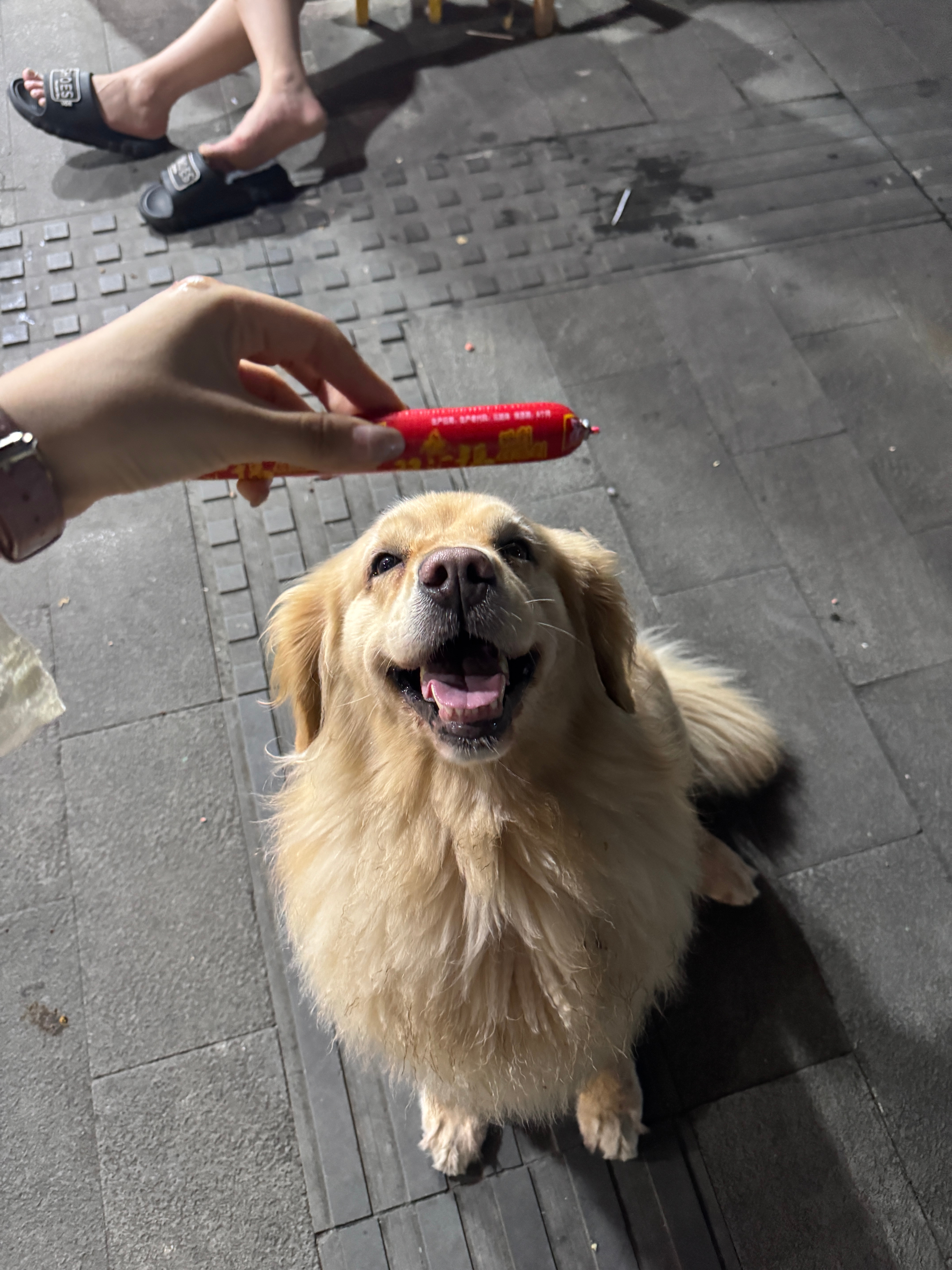 你好哇 人～ ​​​
