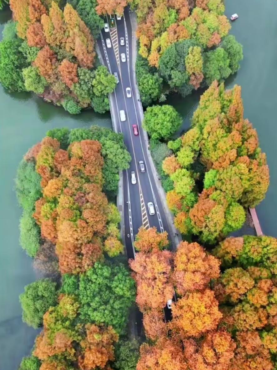 微文：补胎
三哥退休了。退休头个月，三哥足不出户，吃了睡睡了吃，一天两餐酒不用菜