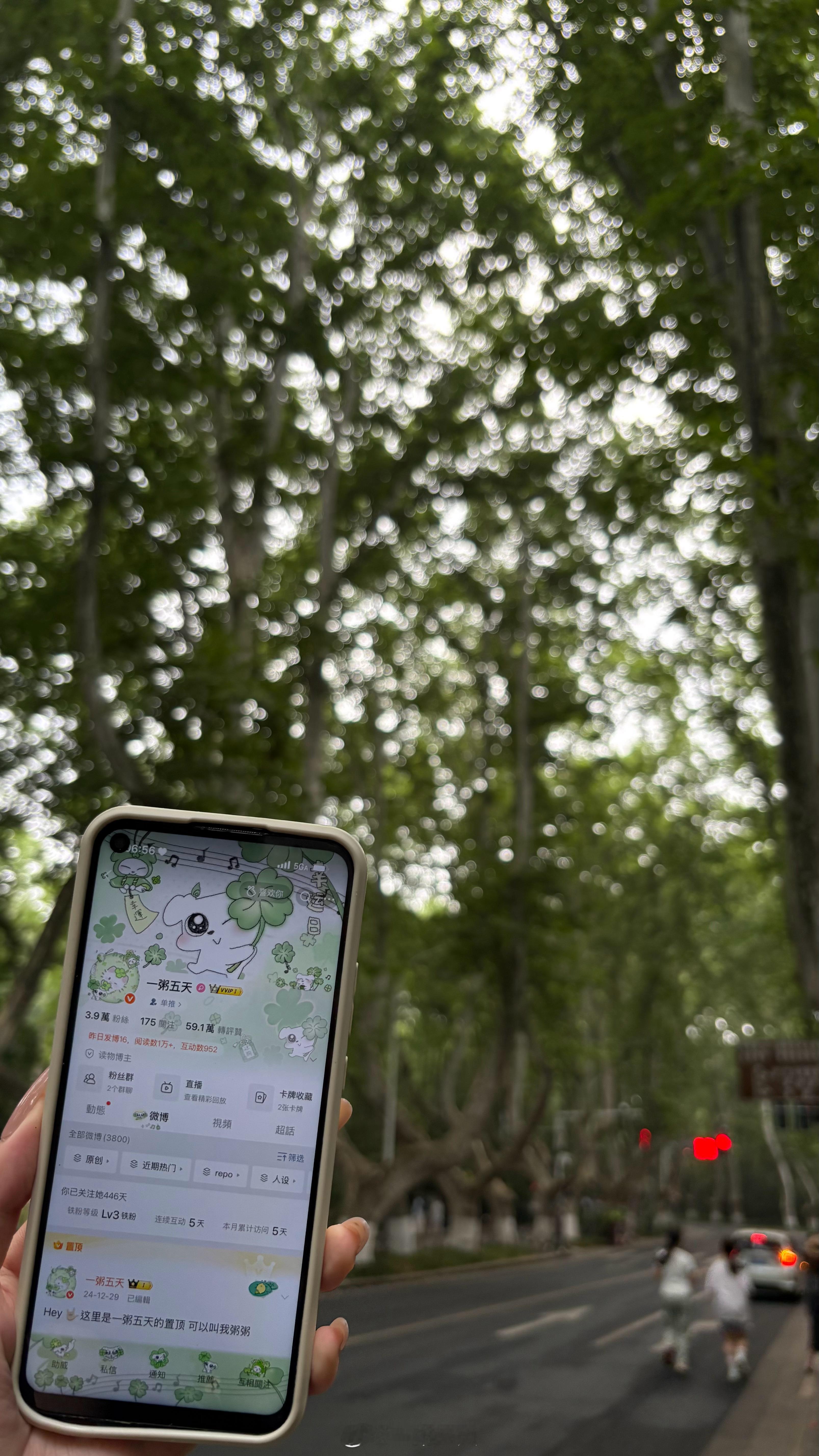 依旧id到🟰人到，带我们云游南京