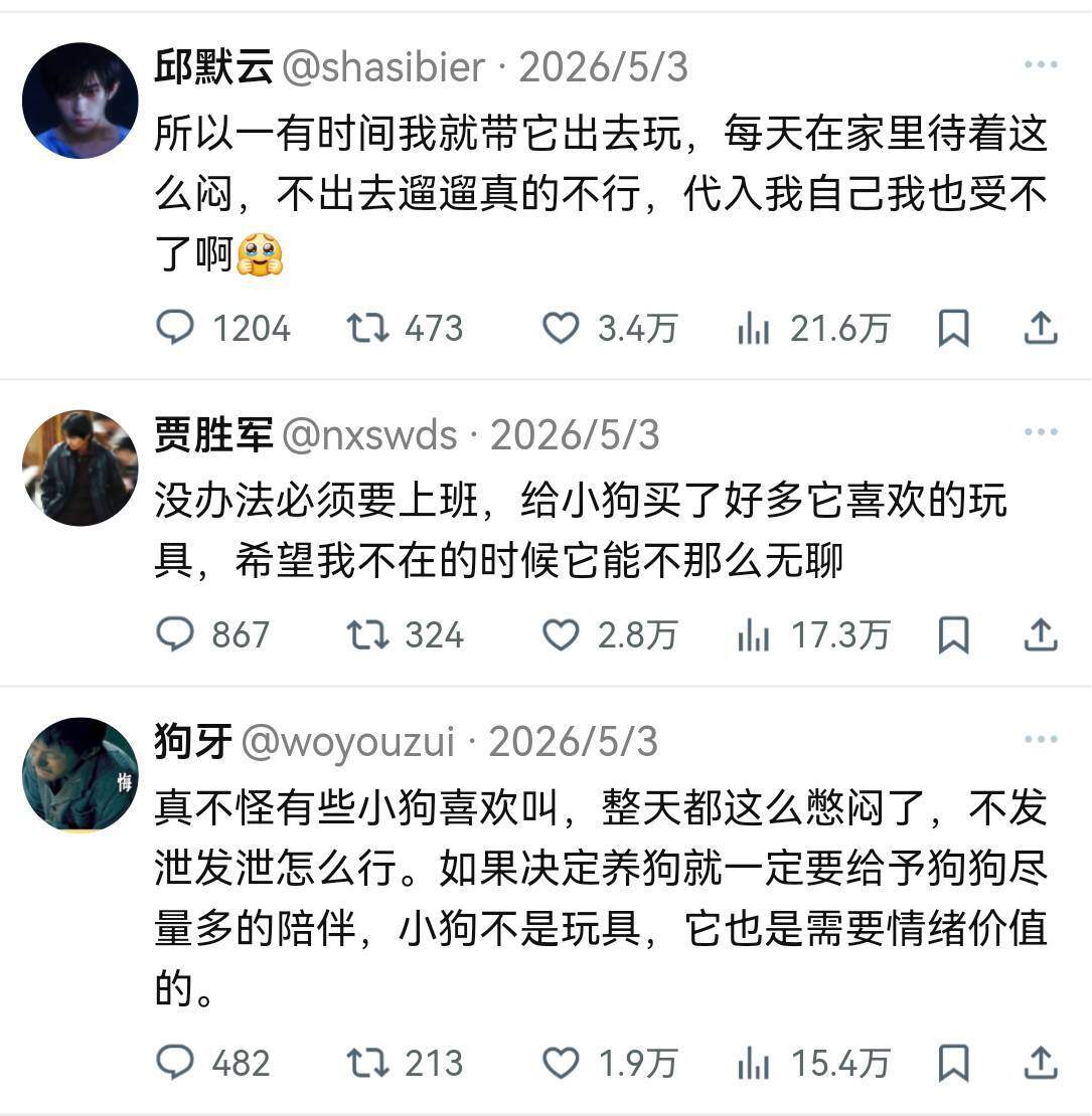 小狗的精神世界真的很强大！ 我将严肃学习小狗精神