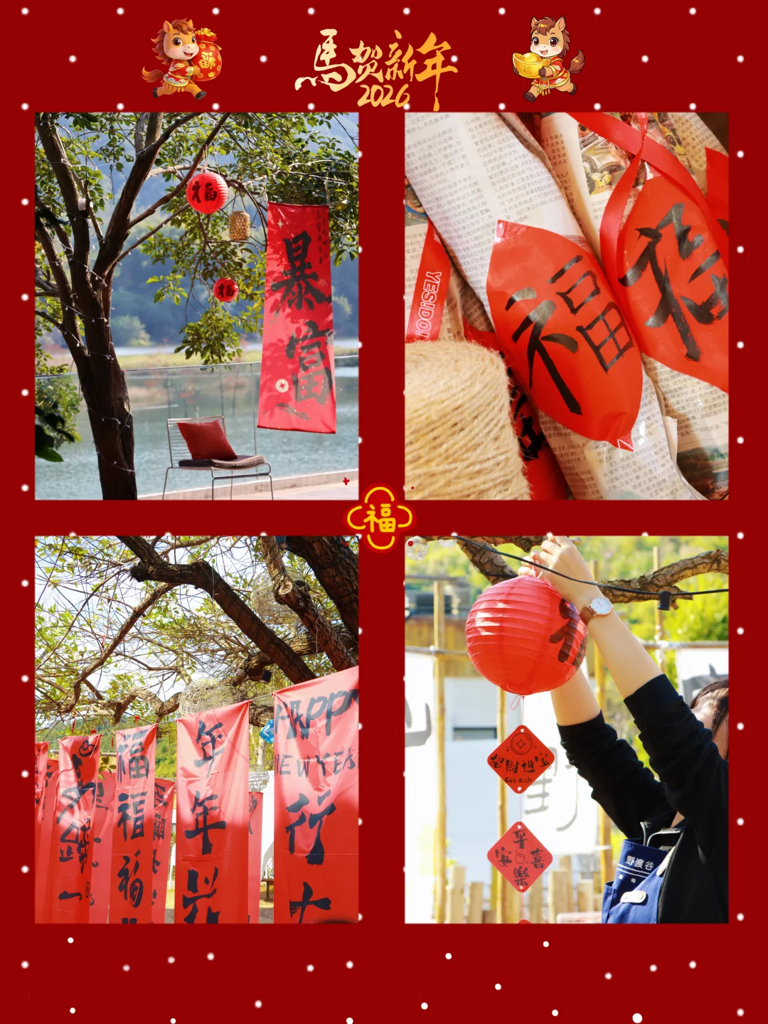 英德寻春｜把“暴富”挂在枝头，许你一整年红火