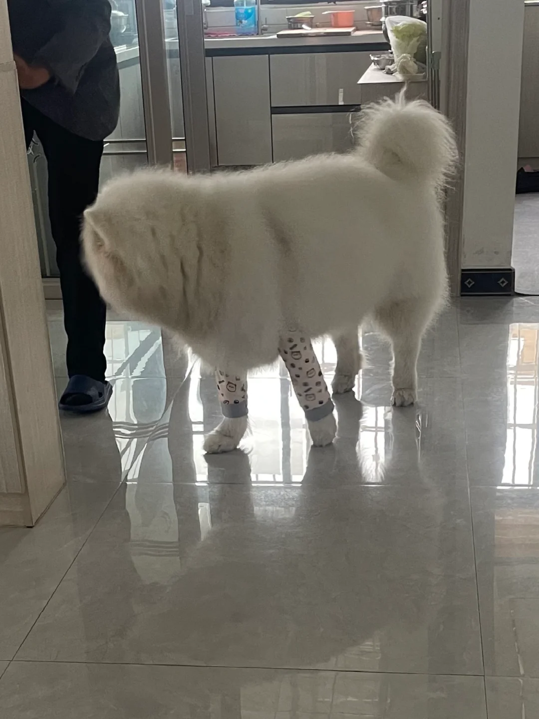 我想问问宝 怎么才能拥有又细又直的腿