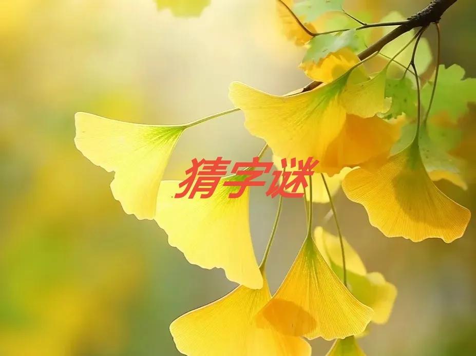 猜谜语

四张嘴有头有尾
四张嘴没头没尾
四张嘴有头没尾
四张嘴没头有尾