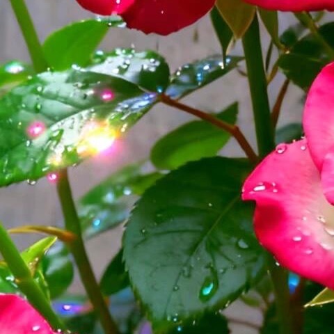 森林驿站  💫阳光信用  💫森林驿站 虽然诚信看不见、摸不着，但它体现了一个