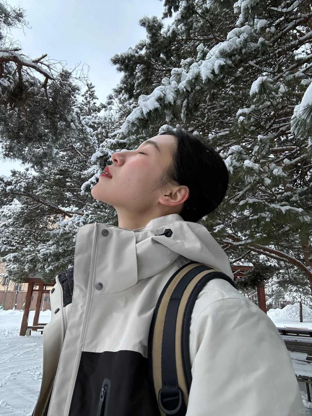 🎿🏂⛷️去年冬天