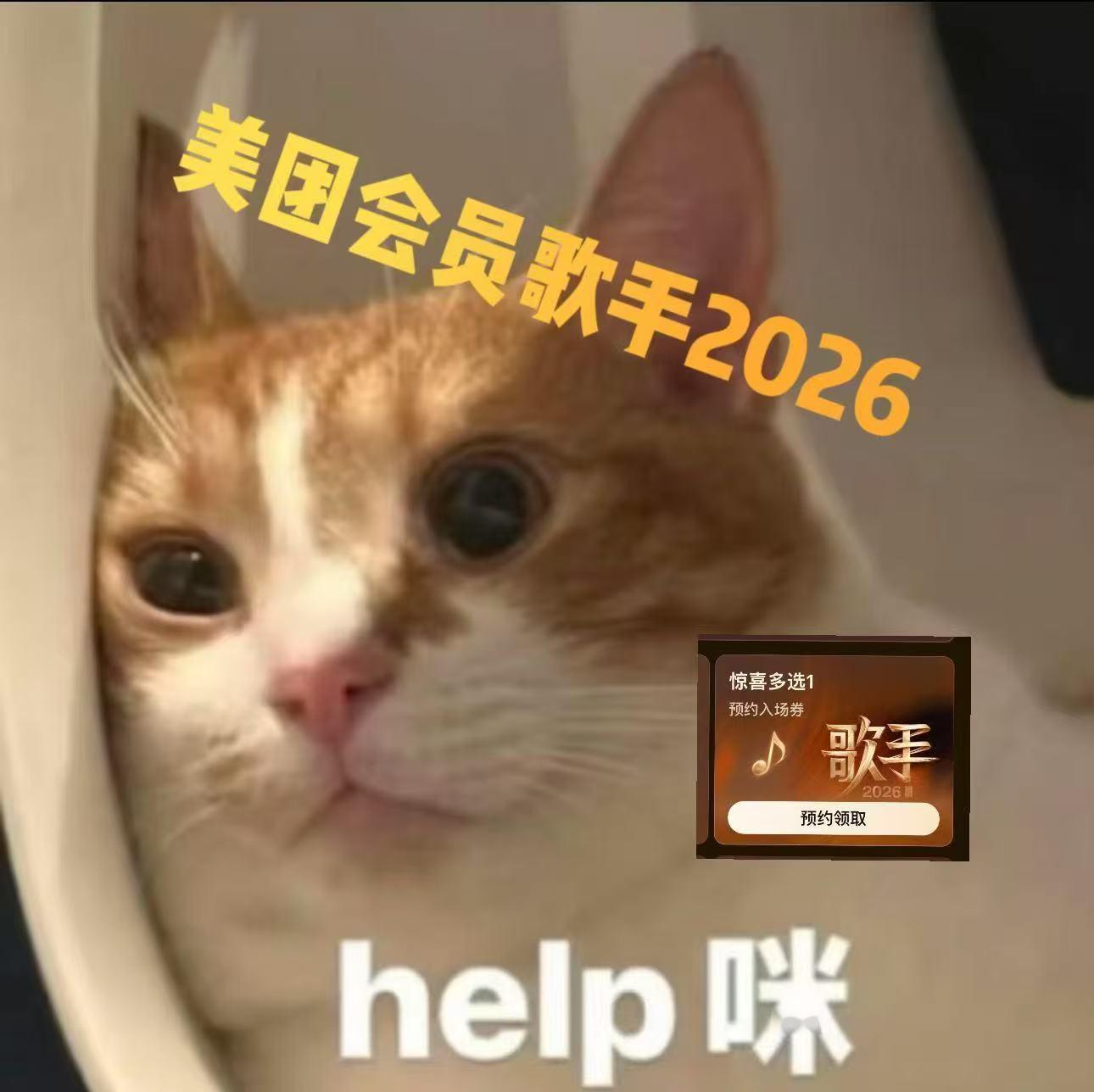 那英官宣歌手2026串讲人那英历险记上线咯！看看今年当串讲人会不会有好玩的事发生