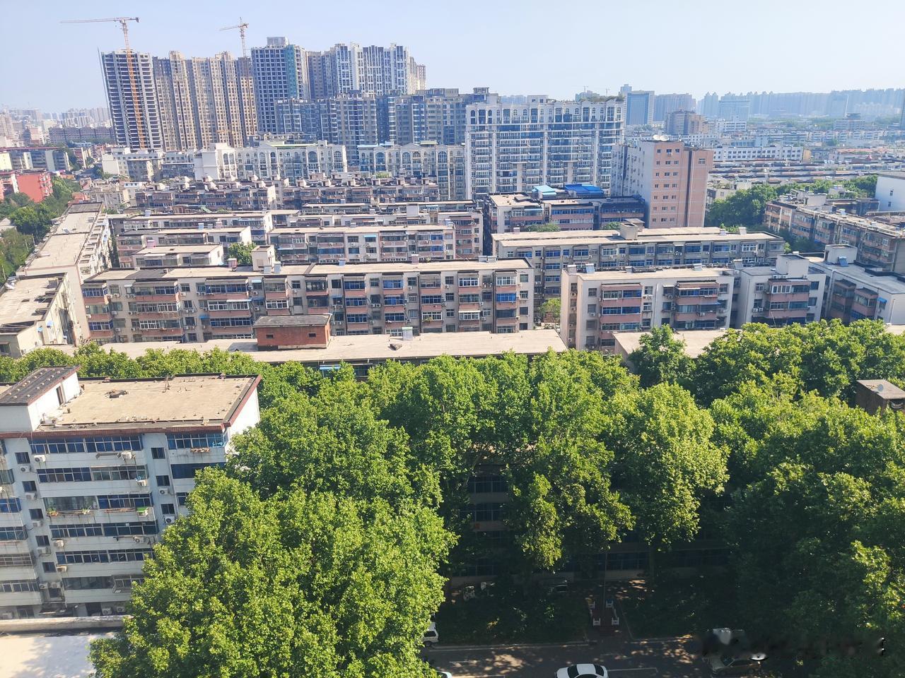 赤日炎炎似火烧，所有空调比着跑
闲坐浑身汗如雨，怎比野外那煎熬
心静何来自然凉？