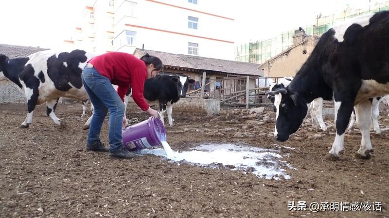 水和牛奶哪个更解渴?家人们，口渴了你第一反应是不是找水喝？其实研究发现，牛奶比纯