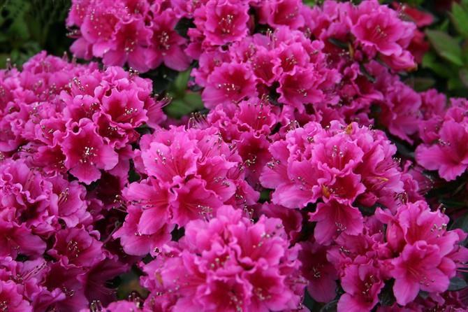 AI硬件景气度高涨，相关材料与设备有望强者愈强！
周五美盘大幅上涨，纳指与标普持