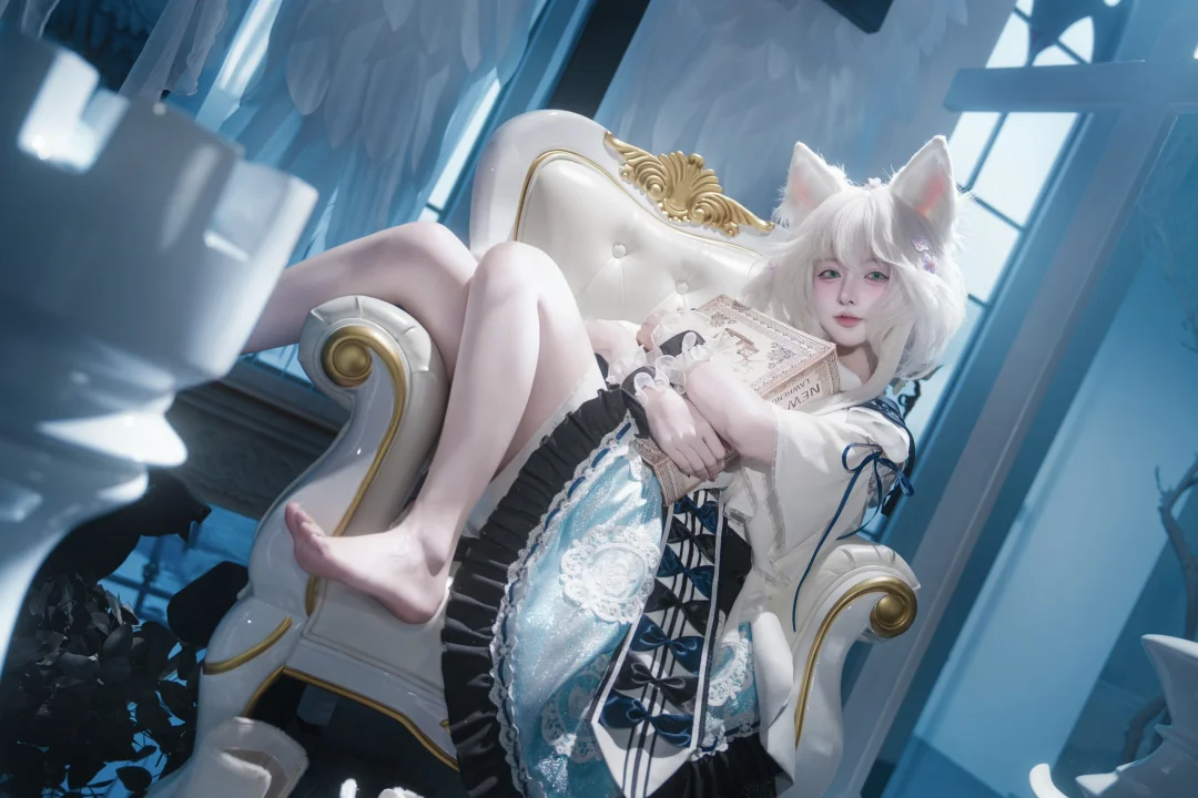 谁能拒绝一只白毛困困小猫