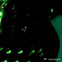 森林驿站 l阳光信用 善良是一束美丽的玫瑰，当你赠送他人时，也为你自己留下了满室