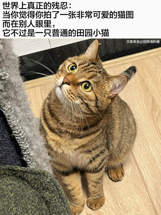 真的吗？ 那太残忍了