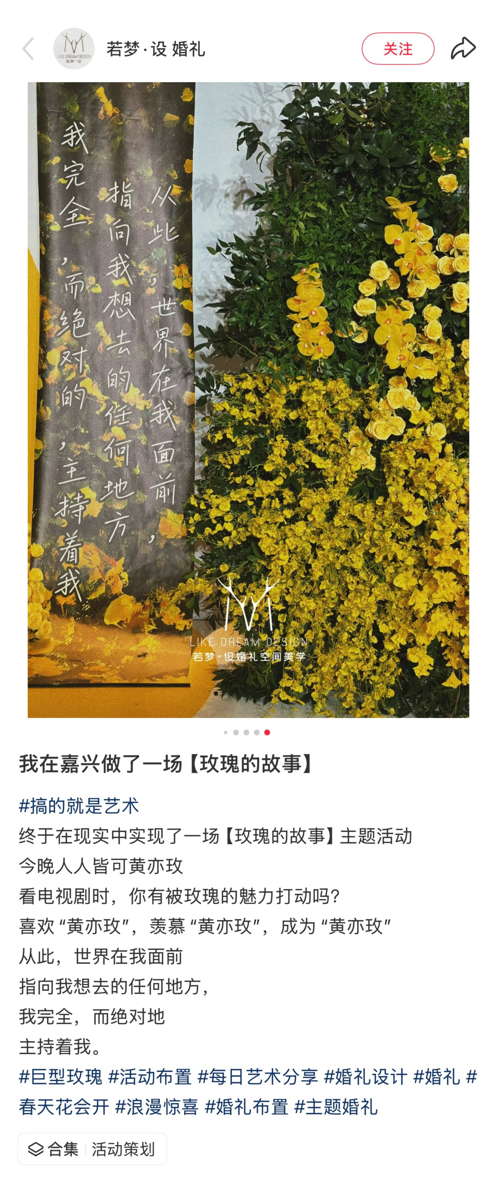 刘亦菲 lyf 刘亦菲效应 刘亦菲以一己之力为黄玫瑰的花语逆天改命，《玫瑰的故事