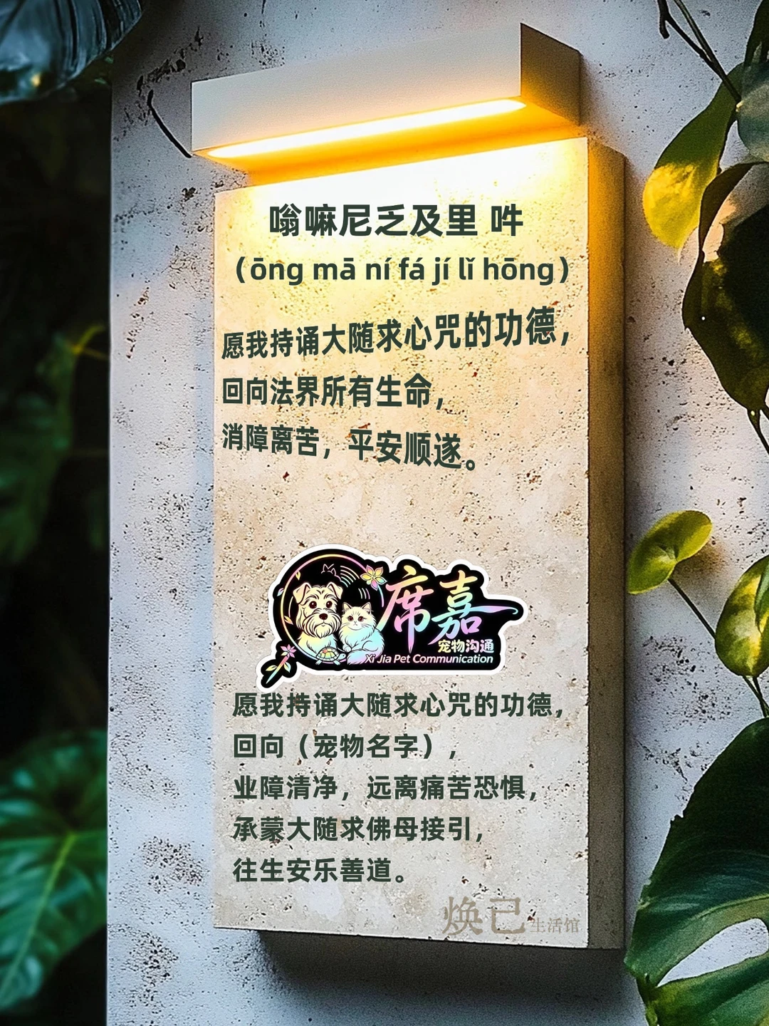 宠物沟通｜毛孩子会用什么方式和你告别