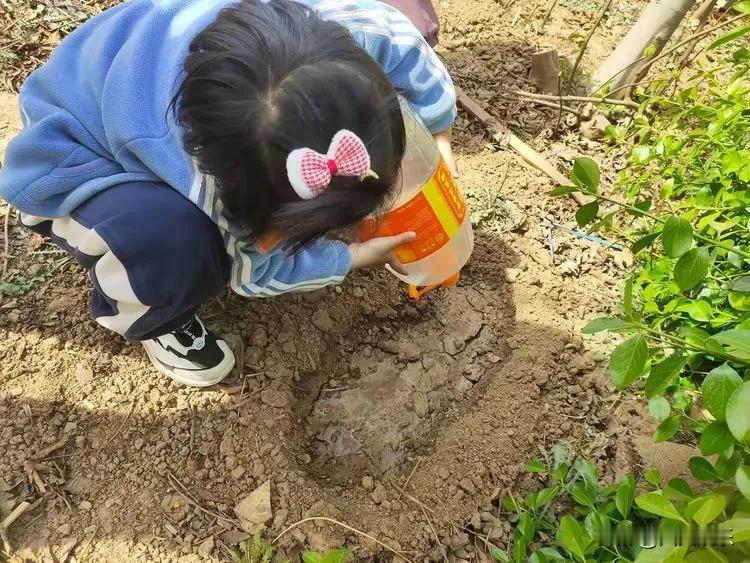 看着他纯真无邪的眼神和充满希望的话语，我心中十分感动，被他的纯粹、对未来的美好憧