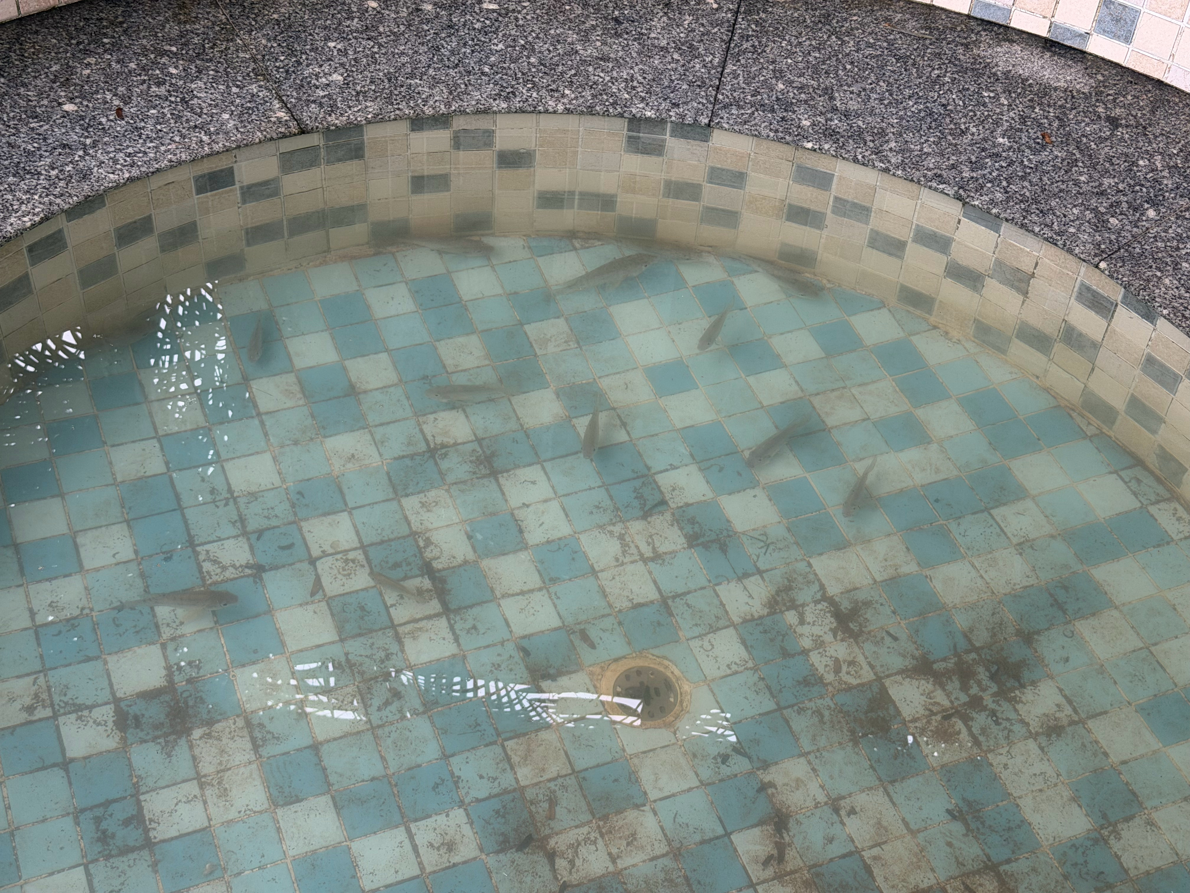 早上好，鱼获不太好，都是些小卡拉米