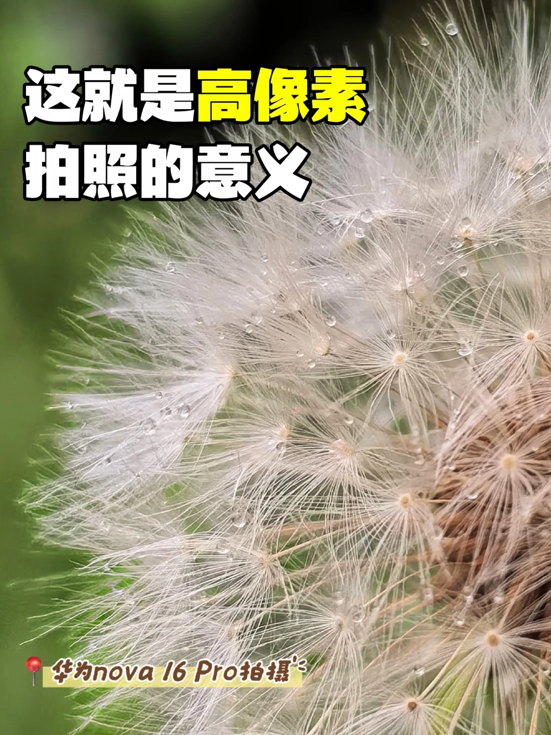 2亿像素竟然下放给nova 16 Pro了😲