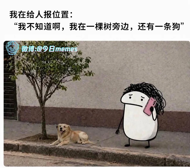 等会狗走了（9gag）今日meme 今日memes