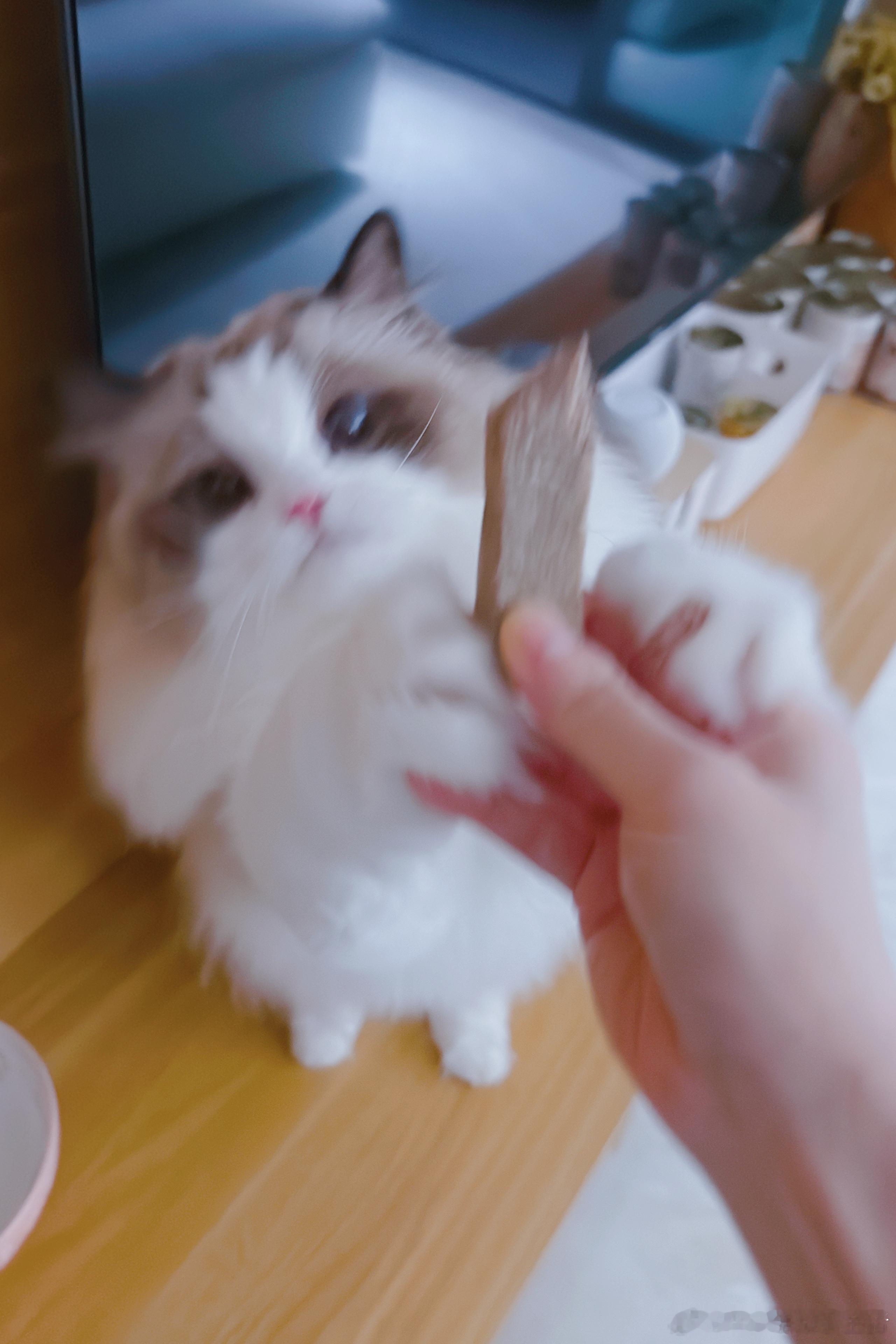 无底洞进料口 ​​​