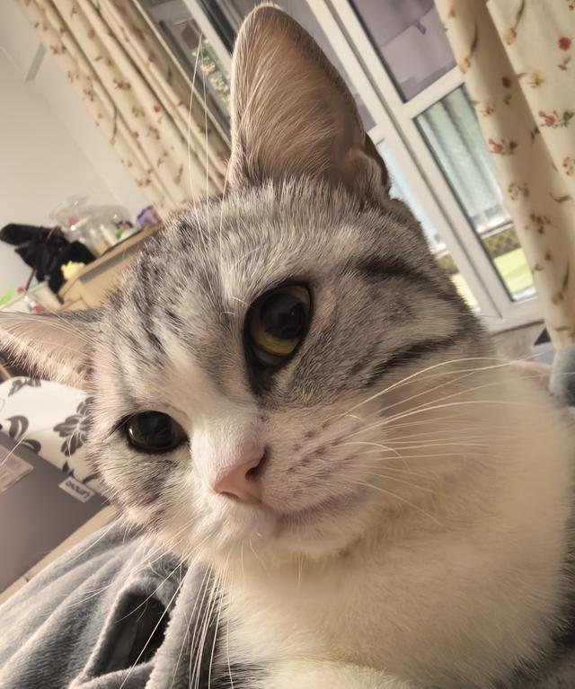 黄金是贵金属，但并非稀有金属这事儿挺有意思的。你说它少吧，地球上其实埋着不少，国