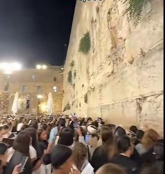 朗朗网友建议你们的大呲花扔这里！
相信一发就能彻底解决了这面墙。
这么多人在给小