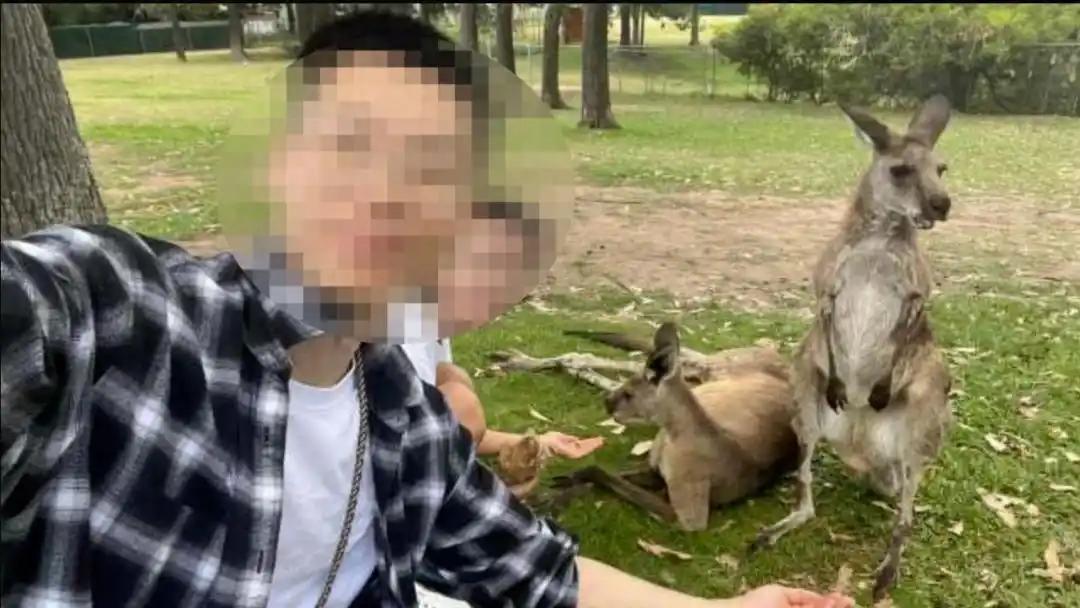 中国医护夫妻在澳洲苦拼多年，刚熬过数年漂泊打拼拿到永居、建好新房，结婚五周年才过