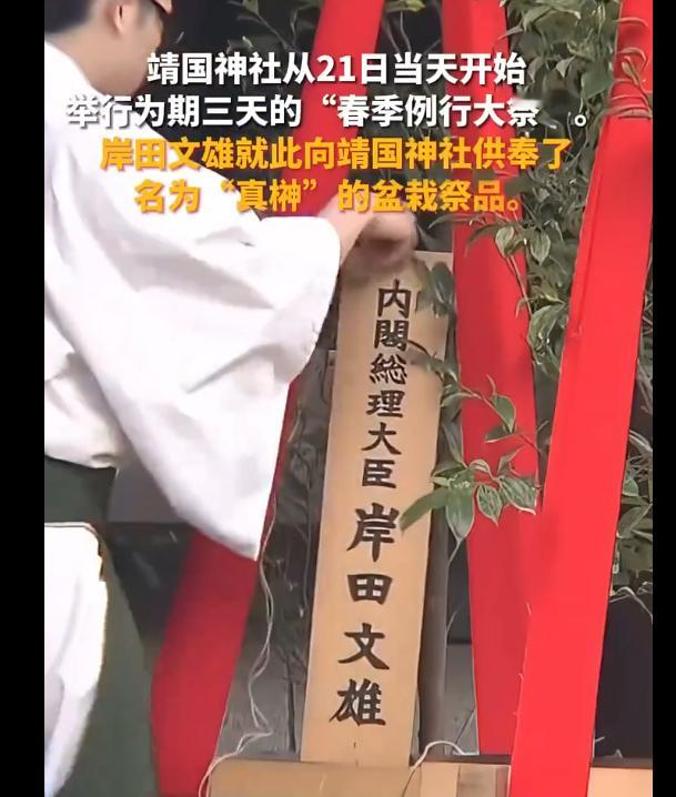岸田文雄给靖国鬼社送盆栽，这盆栽上面的名牌做的跟坟头牌位一样，不知道以为岸田死鬼