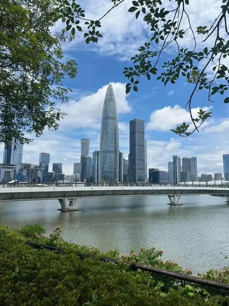 为何上海出不了“菲尔兹奖”得主，而深圳却可以？
近日，2026年国际数学家大会揭