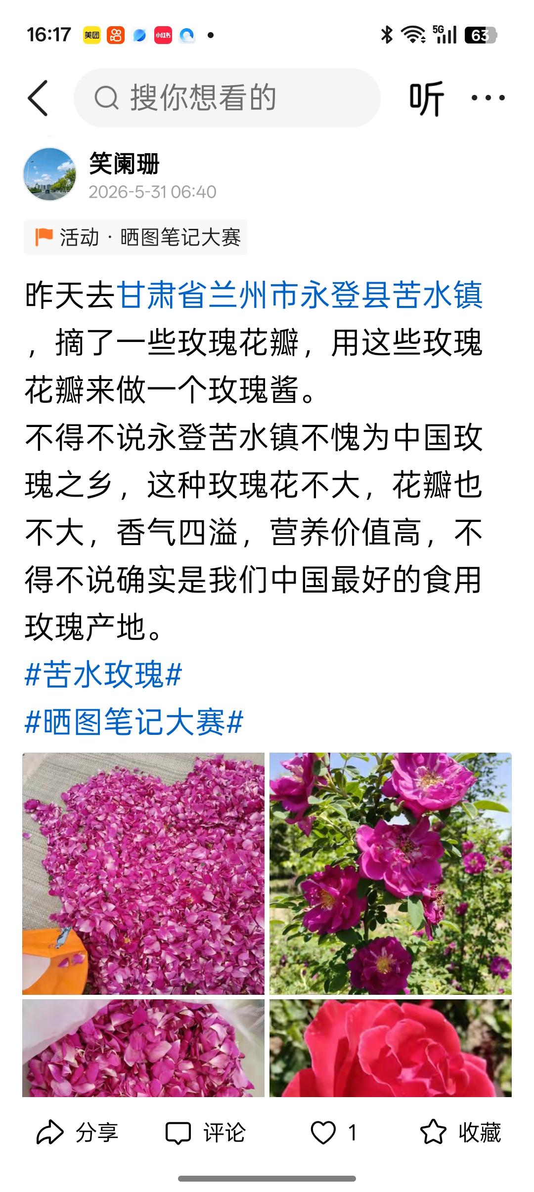 没有想到我昨天去永登拍摄的玫瑰花和寺滩村的图片，还有大清早起来发的微头条,百家号