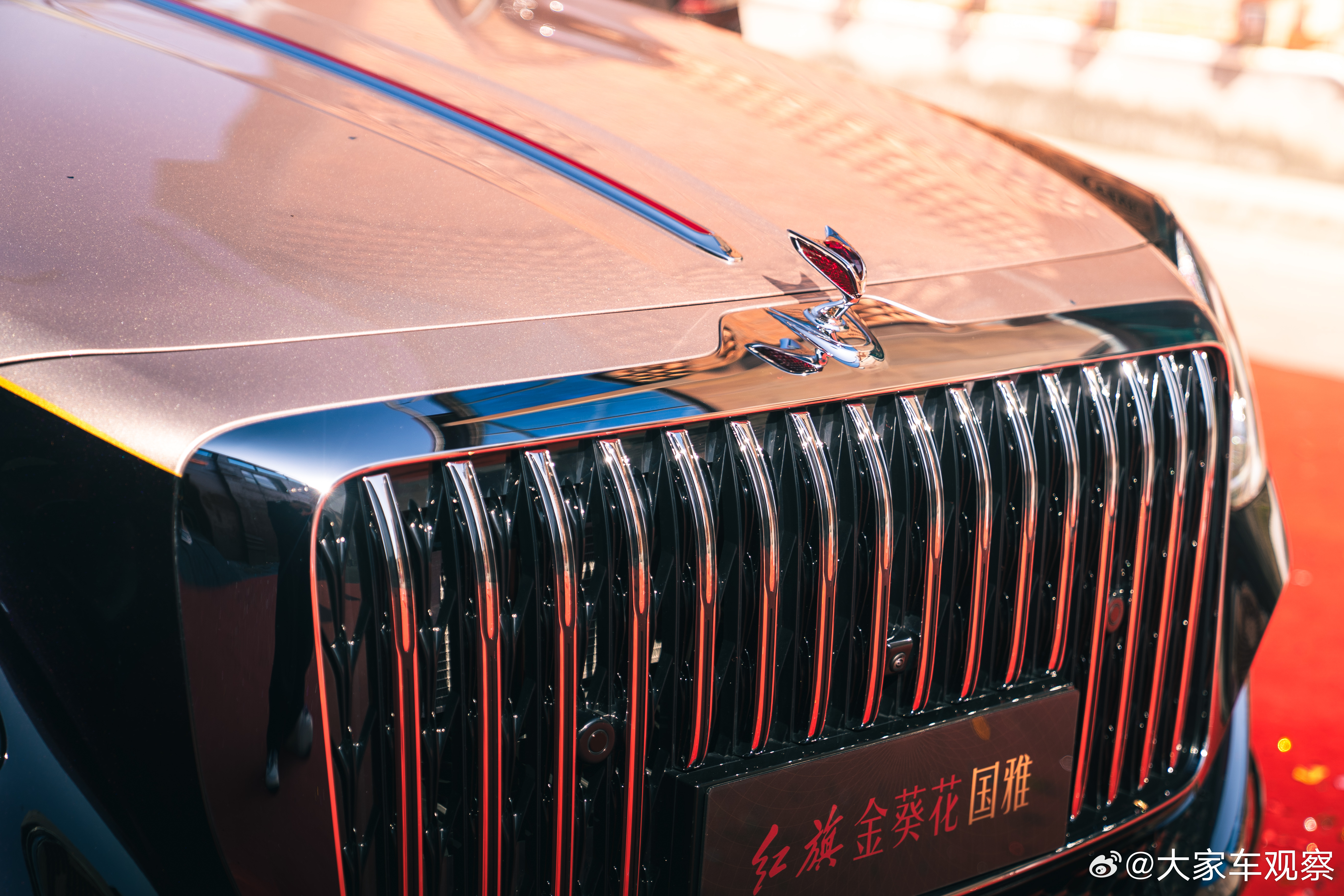 今天是大家车的大日子