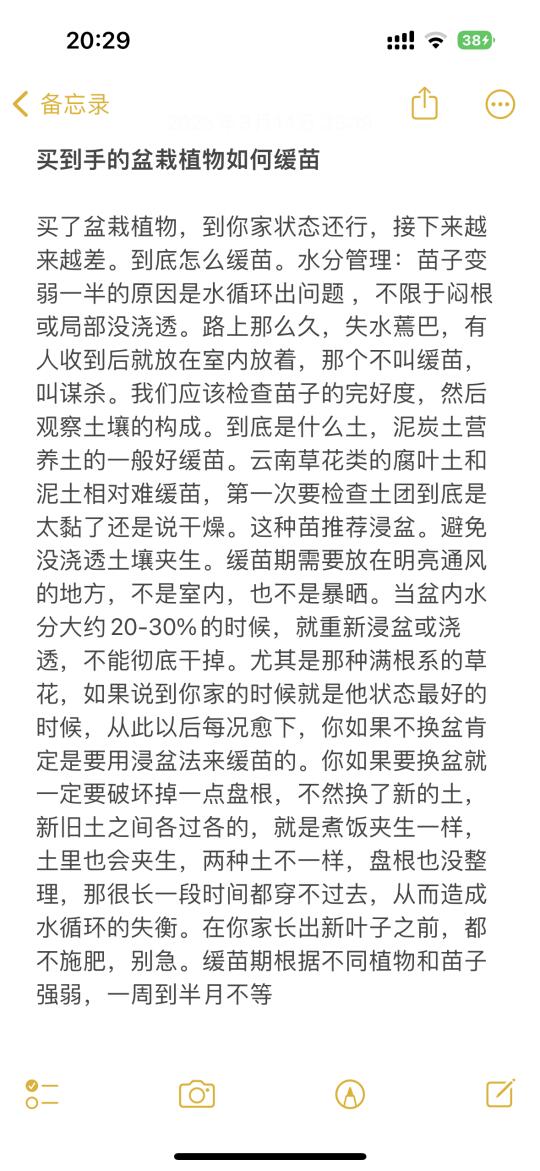 到手的植物如何缓苗