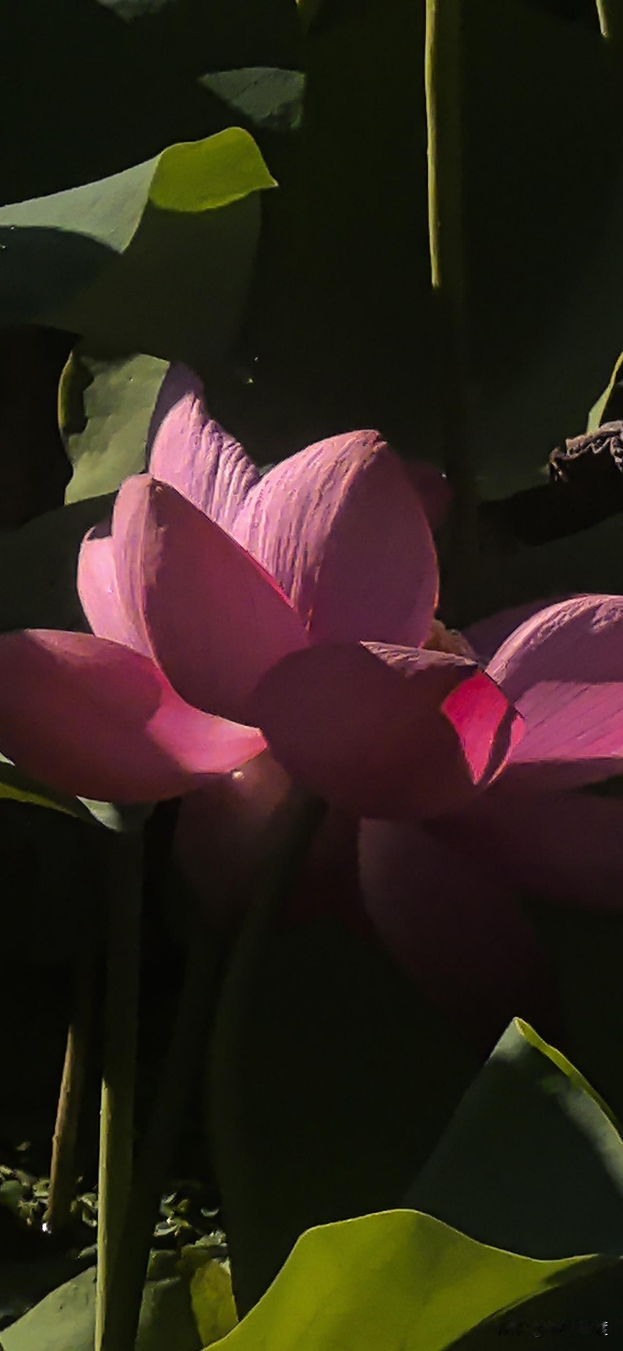 我坚信，我一直始终坚信，所有的好人，贵人，都是因为你自己在善言、善行的路上遇到的