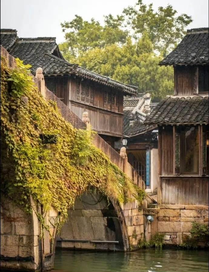 🌿青石板桥驮着岁月，藤蔓爬满光阴褶皱。流水是古镇的低语，木楼藏着未说完的故事。