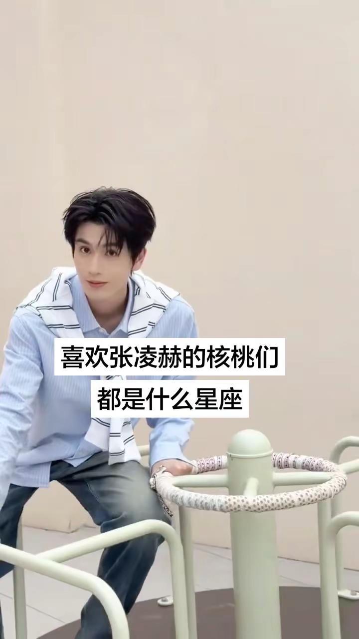 我是双子座张凌赫 我担秒了全世界 张凌赫的小核桃 追星女孩