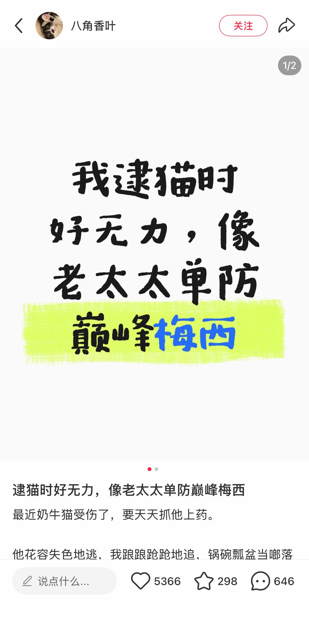 刷到这个比喻给我笑麻了🤣🤣🤣但是猫猫好可爱啊！！！ 