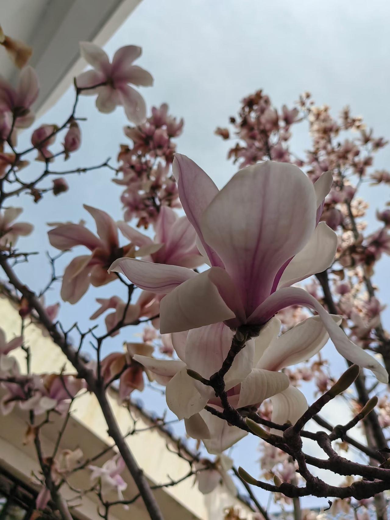 反反复复出现的问题，永远都是那样，渐渐学会了，无法沟通时及时止损。也很庆幸看清了