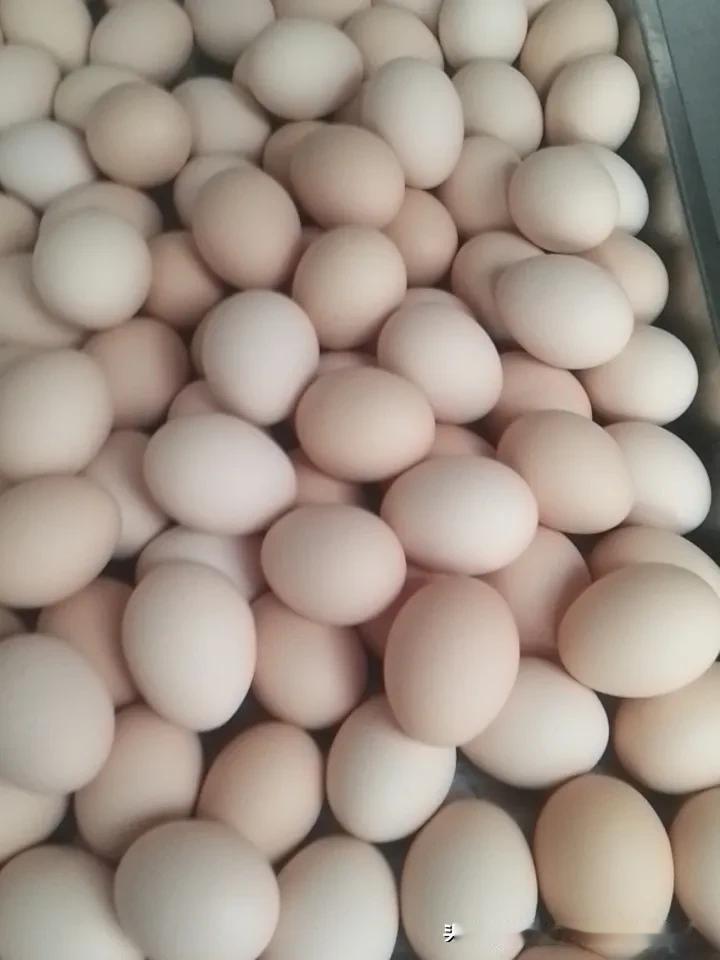 上联：天有日月星辰，诚邀下联我对下联：人有悲欢离合。地有花鸟鱼虫，请友友们指证！