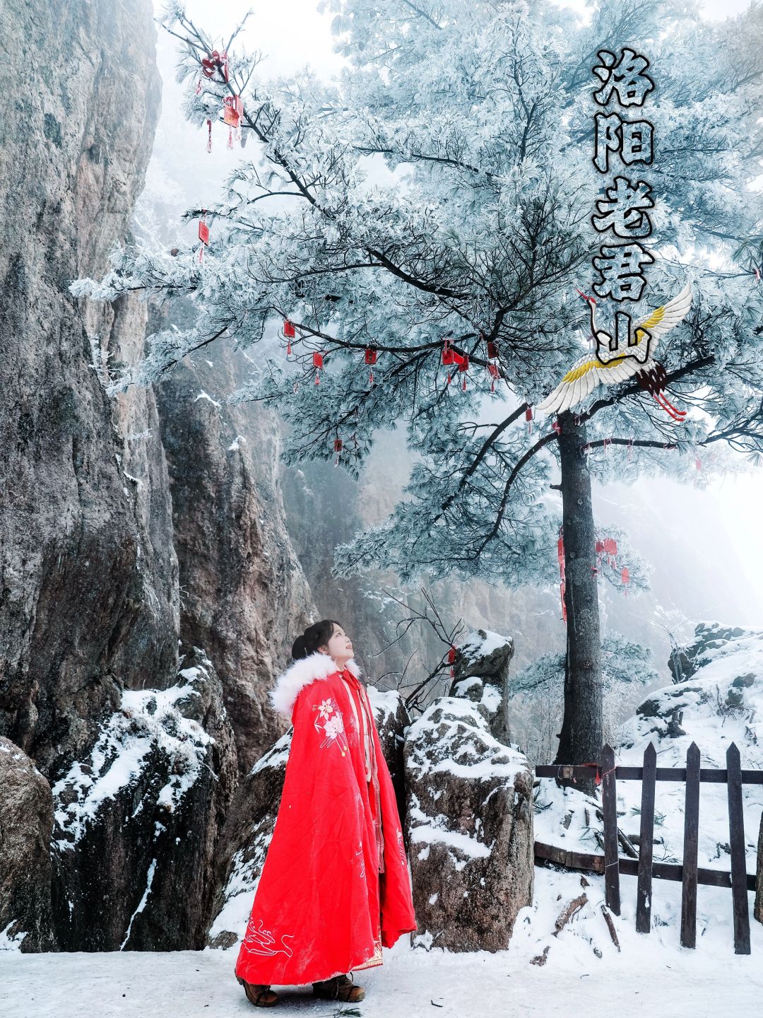 春节慢乐｜冬游洛阳老君山，能劝一个算一个