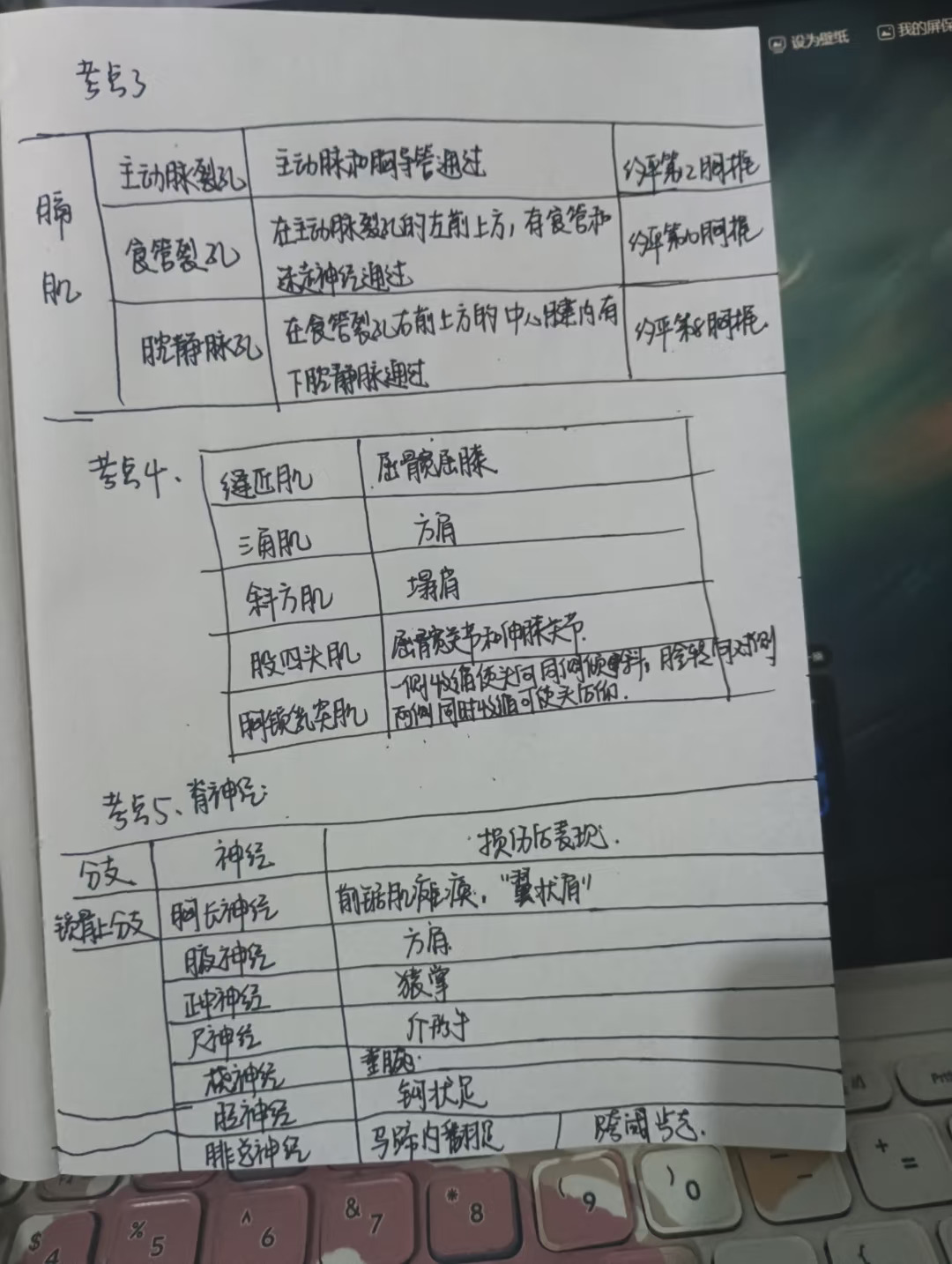 10.25医疗事业编联考｜医基重点