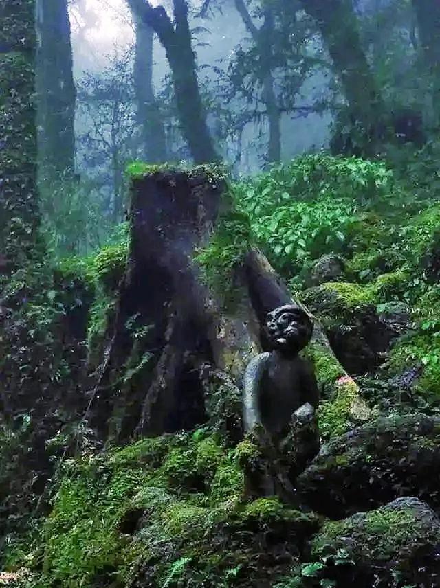 哀牢山——幽邃魔域之扉
昆仑巅——飘渺仙界之径
神农架——隐世修真之界
酆都城—