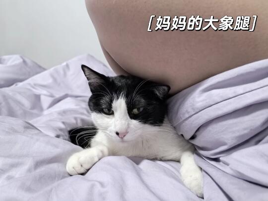 生活不易 只能硬抗