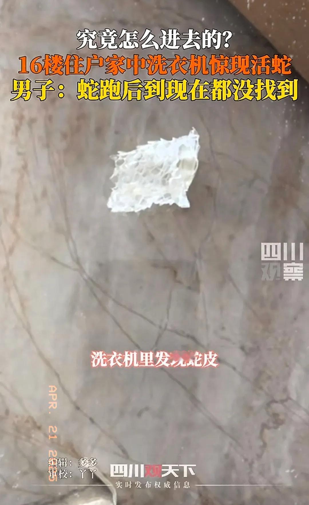“真让人后怕！”山西运城，一男子母亲用洗衣机洗被子，洗完后竟发现一条活蛇躺在被子