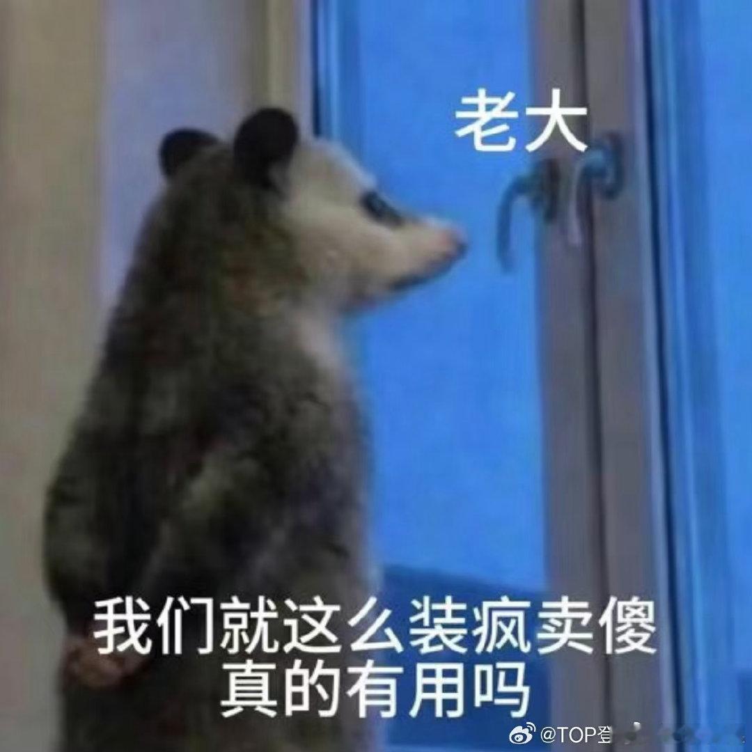 张泽禹我们这么装疯卖傻有用吗张泽禹表情包玩梗被张泽禹这波表情包联动戳中笑点，适配
