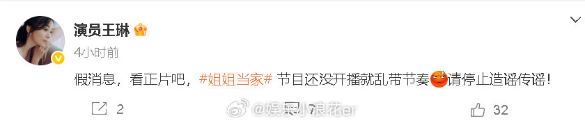 王琳辟谣 对于“王琳疑似被儿子掌掴”的争议，发文回应：“假消息”，并呼吁“停止造