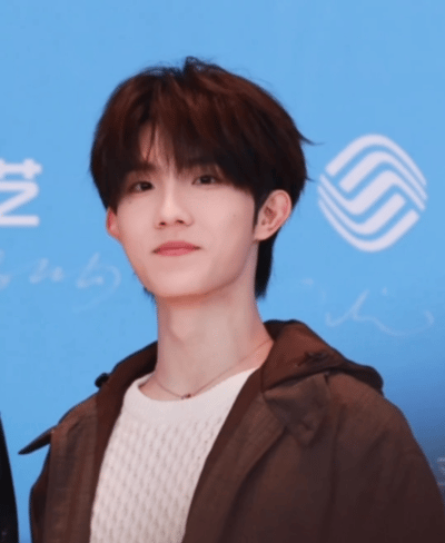 苏新皓在红毯完全有叫必应苏新皓挑眉歪头 苏新皓在红毯完全有叫必应，挑眉歪头太可爱