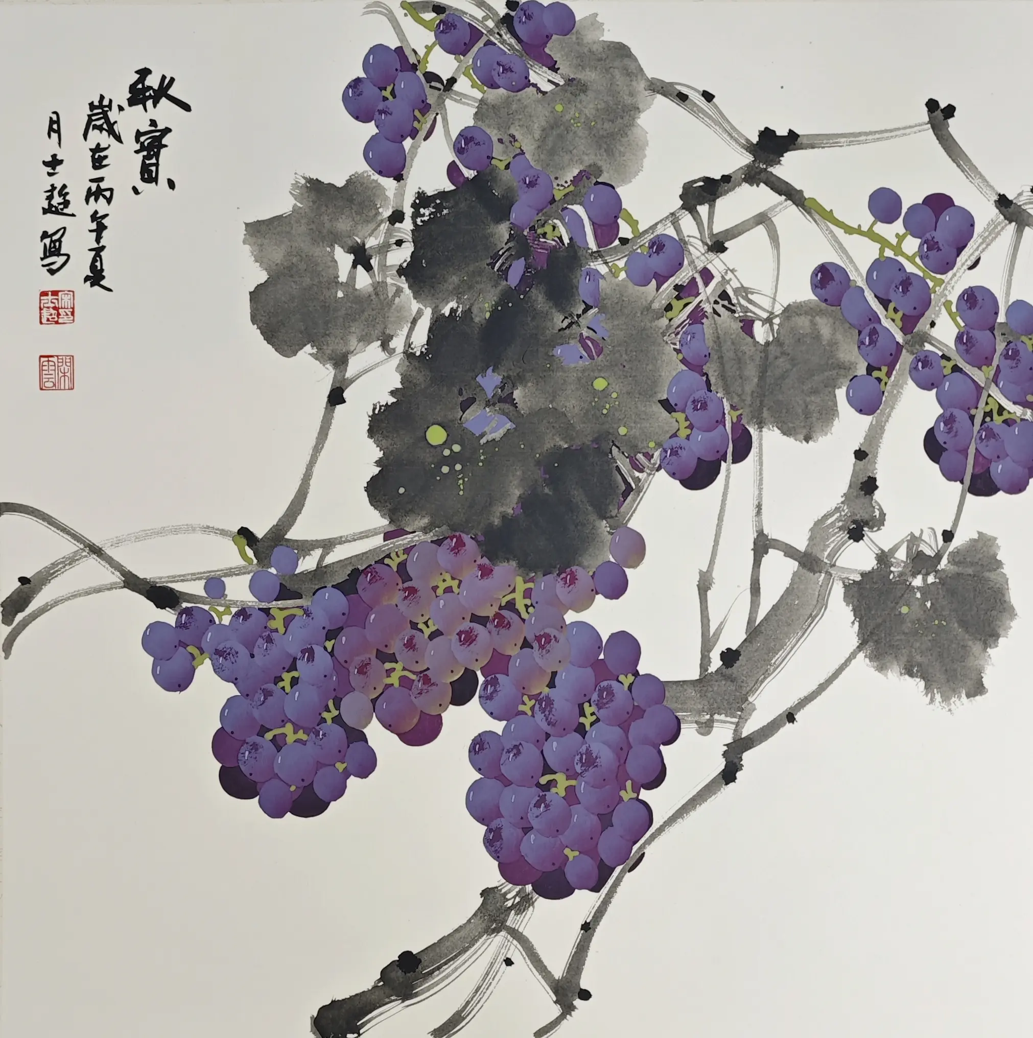 国画葡萄。     紫藤架下摘来的夏，都在纸上了