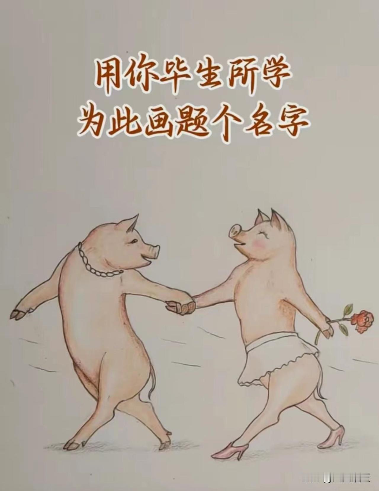 大家觉得应该叫什么呢？
